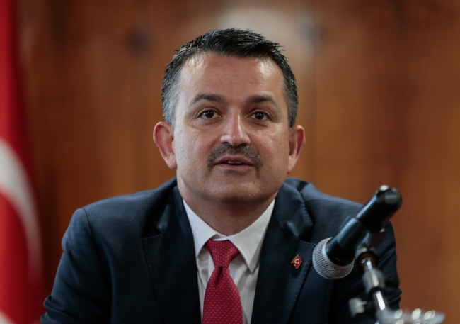 Toprak Mahsulleri Ofisi yeşil mercimek alımına başlayacak