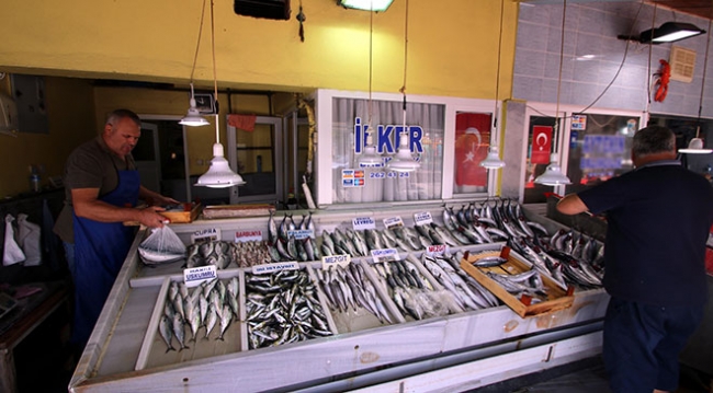 Balıkçı tezgahlarında en çok palamut tercih ediliyor