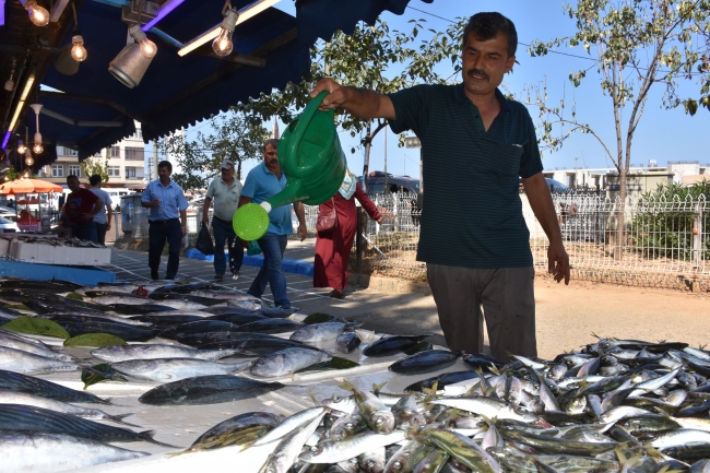 Karadeniz'de palamut bereketi