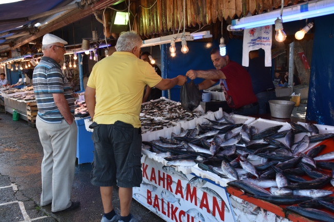 Karadeniz'de palamut bereketi