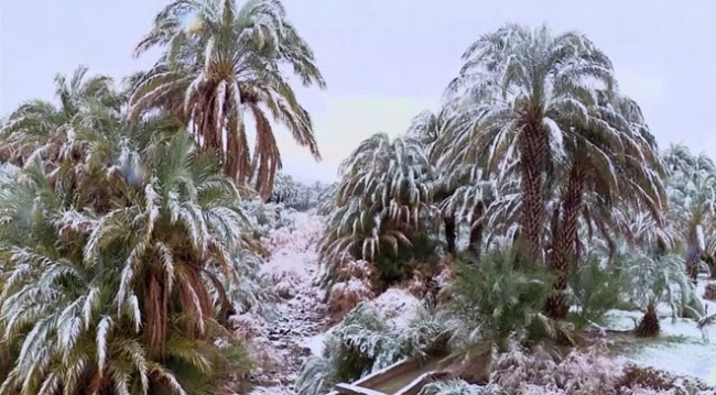 Dünyanın iklimi değişiyor