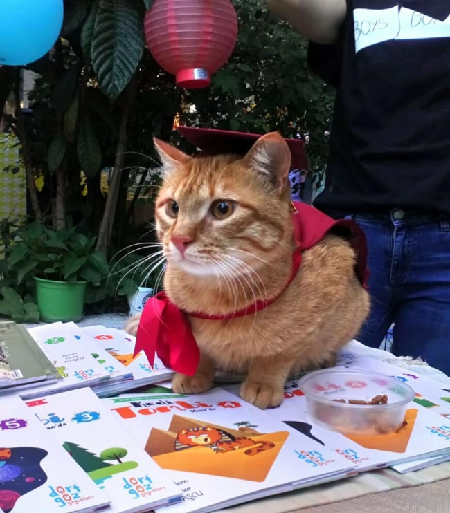 Pasaport çıkartılan 'Tombi', İsviçre yolunda