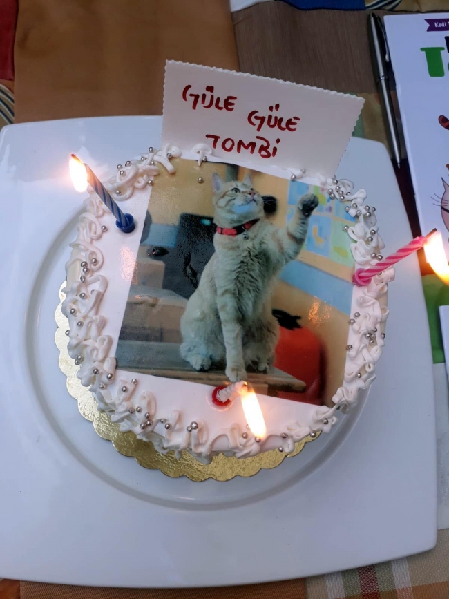 Pasaport çıkartılan 'Tombi', İsviçre yolunda