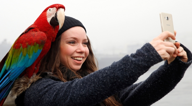 İstanbul'da bir "paşa"