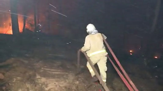 Pendik'te ormanlık alanda yangın