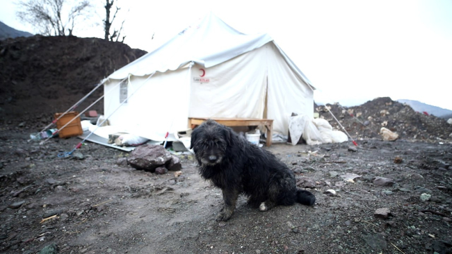 Fotoğraf: TRT Haber