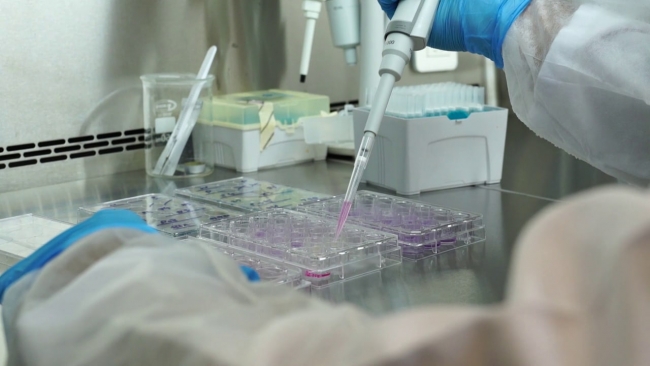 Yerli probiyotik çalışmaları başladı