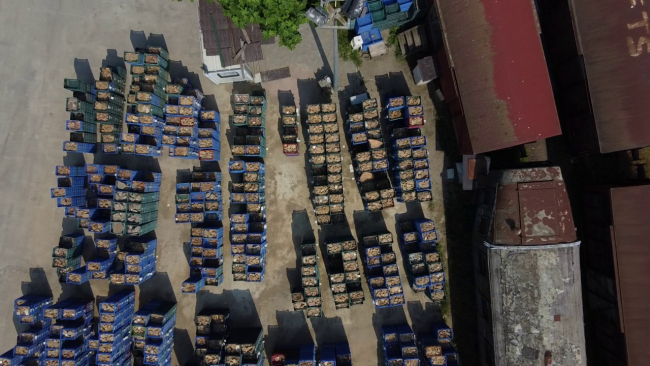 Haydarpaşa hazinesi: 5 metre kazıp M.Ö. 5. yüzyıla indiler