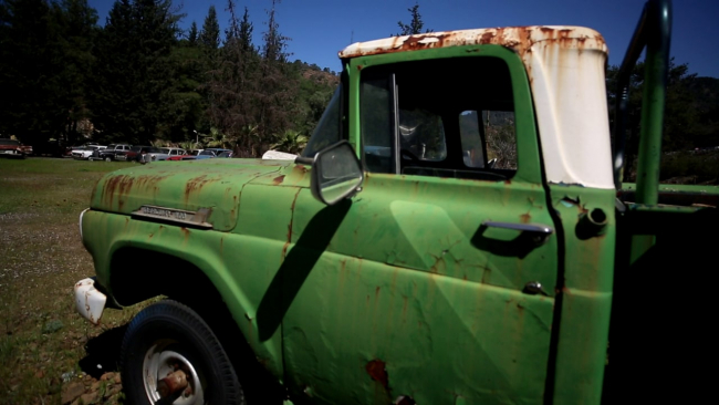 Hurdalıktan çıkıp asfaltta fors atıyorlar