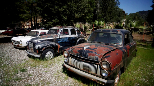 Hurdalıktan çıkıp asfaltta fors atıyorlar