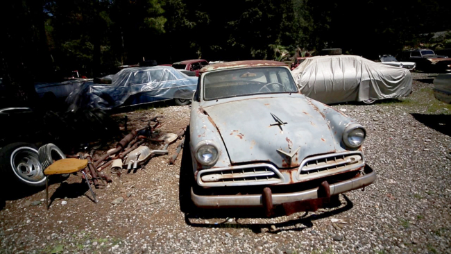 Hurdalıktan çıkıp asfaltta fors atıyorlar