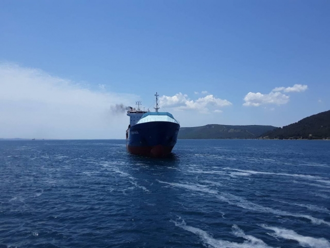 Fotoğraf: TRT Haber