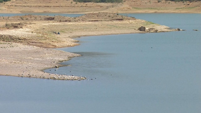 Fotoğraf: TRT Haber