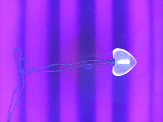 Fotoğraf: Dr. Cihan Taştan