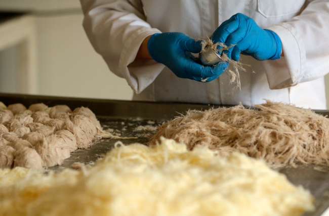 Pişmaniyeye Ramazan ilgisi