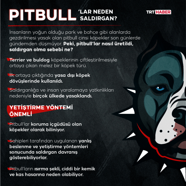 1964 kişiye tehlikeli köpek dolaştırma cezası kesildi