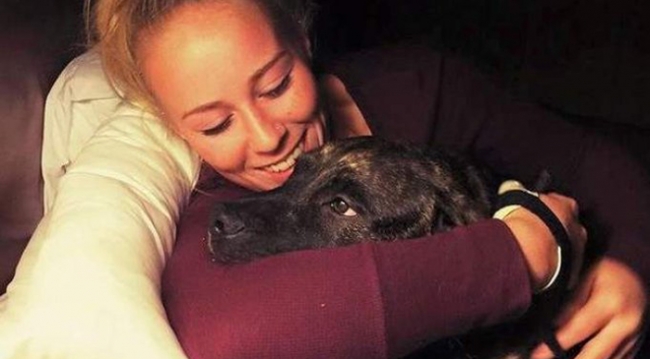 ABD'de pitbull cinsi iki köpek bir kadını öldürdü