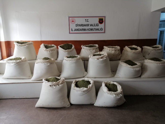 Arazide çalılar ve kayalıklar arasına gizlenmiş satışa hazır 547 kilo esrar ele geçirildi - Fotoğraf: DHA