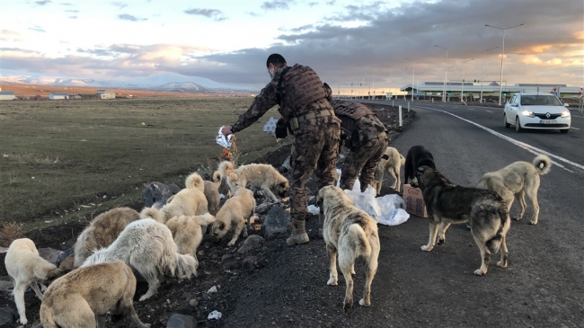 Polisler yiyeceklerini sokak köpekleriyle paylaştı