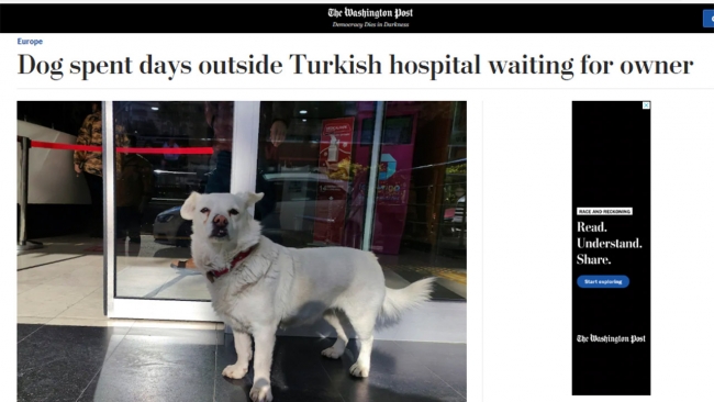 'Boncuk' dünya basınında: Sabırlı köpek günlerdir bekliyor