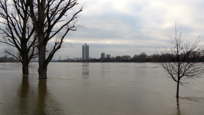 Ren Nehri'nin su seviyesi 9 metreye yaklaştı
