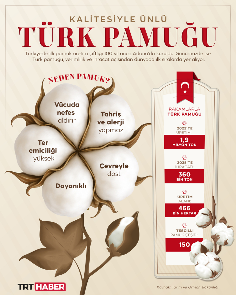 Kalitesiyle öne çıkan Türk pamuğu küresel pazarda talep görüyor