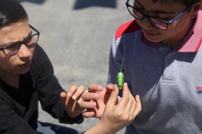 Alternatif enerjiyi robot cırcır böceğiyle anlatıyorlar