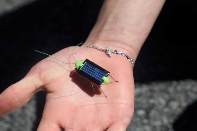 Alternatif enerjiyi robot cırcır böceğiyle anlatıyorlar