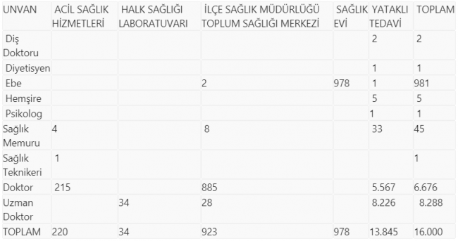 2020'de 16 bin sözleşmeli sağlık personeli istihdam edilecek