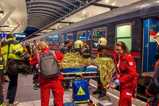 Avusturya'da iki tren çarpıştı