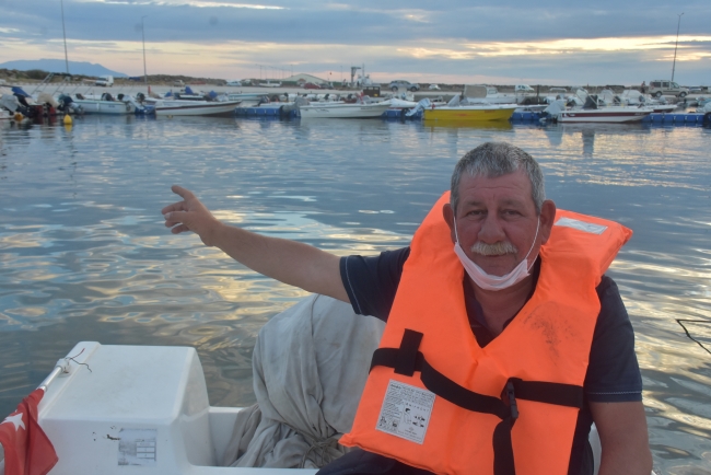 Saros Körfezi'nde köpek balığı görüntülendi