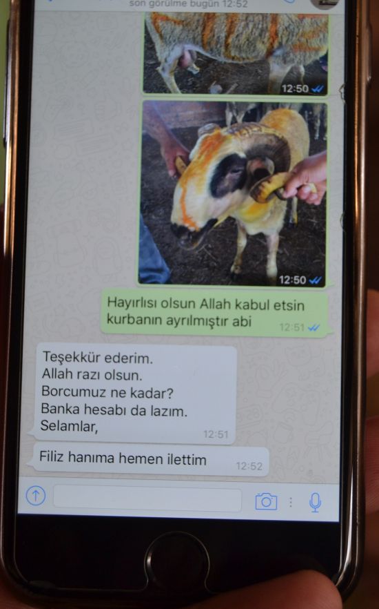 WhatsApp'tan kurbanlık satışı
