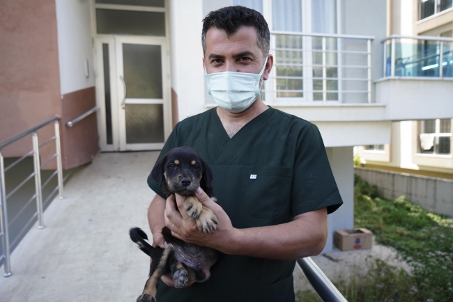 Selden kurtarılan köpeğin ismi 'Mucize' oldu