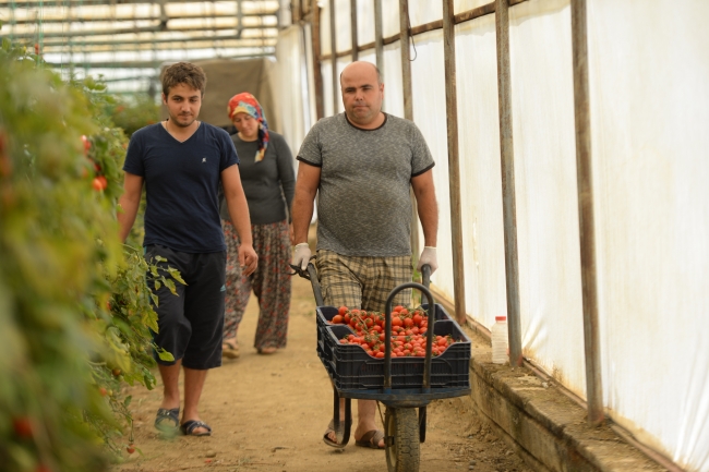 45 derecelik sera sıcağında oruç tutuyorlar