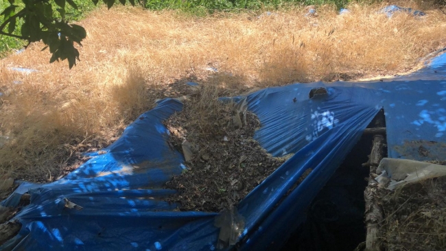 Pençe Harekatı ile PKK'ya bir darbe daha: 3 sığınak imha edildi