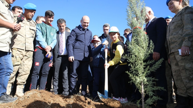 81 ilde 11 milyon fidan toprakla buluştu