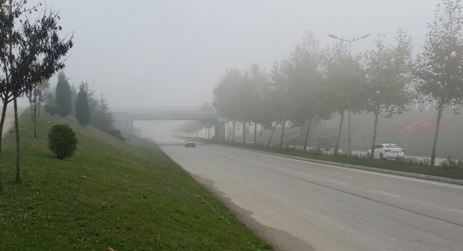 Sis, sürücüleri trafikte zorladı