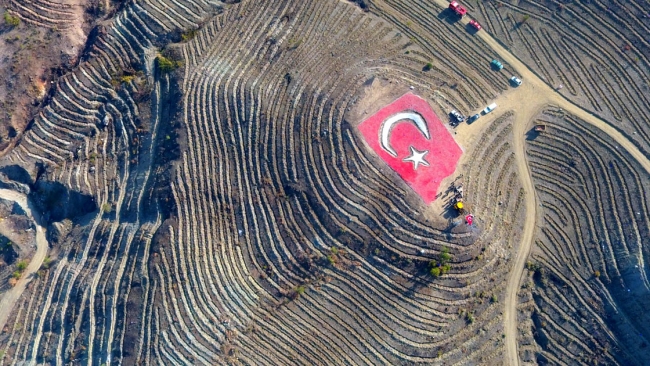 81 ilde 11 milyon fidan toprakla buluştu