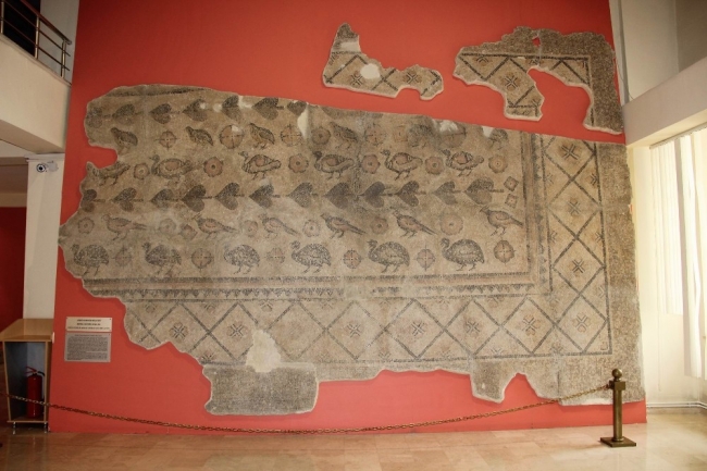 Ahırda Roma dönemine ait tarihi taban mozaiği bulundu