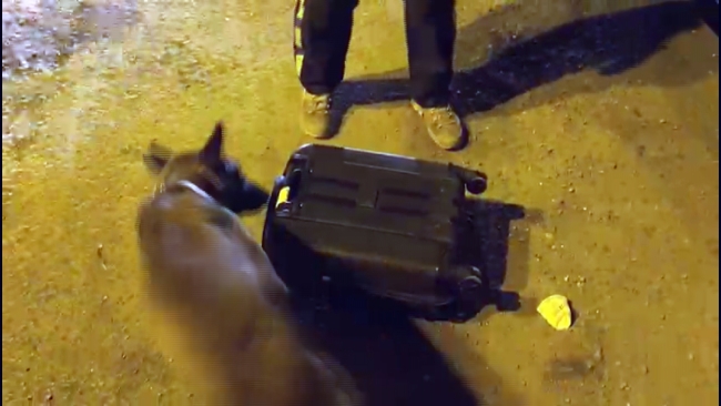 Yolcu valizinden 10 kilogram uyuşturucu çıktı