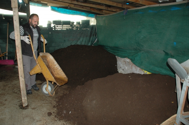 Yetiştirdiği solucanlar geçim kapısı oldu