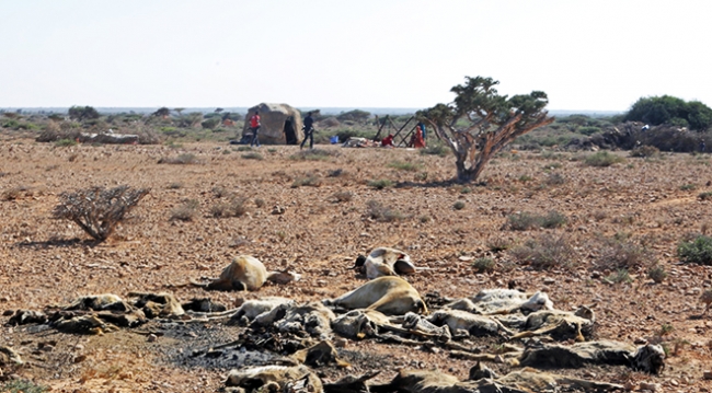Somali'de aşırı kuraklık hayatı tehdit ediyor