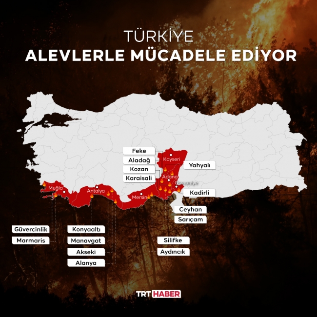 Türkiye'nin 'ciğerleri' yanıyor: 7 ilde 20 noktada orman yangını