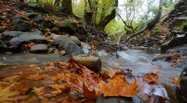 Türkiye'nin dört bir yanından sonbahar manzaraları