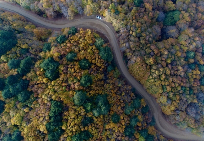 Türkiye'den büyüleyici sonbahar manzaraları