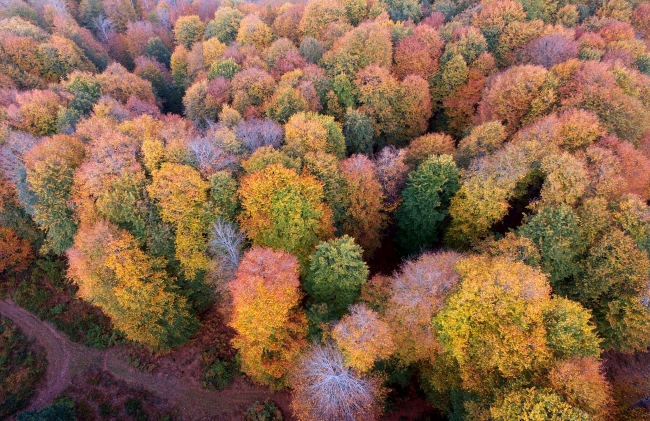 Türkiye'den büyüleyici sonbahar manzaraları