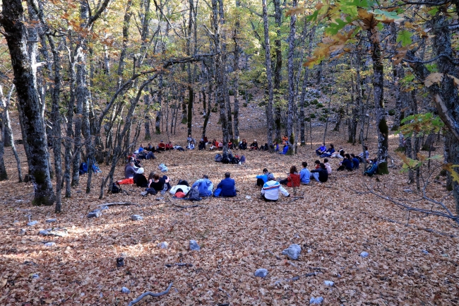 Fotoğraf: DHA Kasnak Meşesi Ormanı Koruma Alanı 