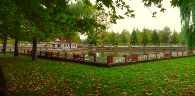 Konya'daki Kuğulu Milli Parkı ziyaretçilerini ağırlıyor