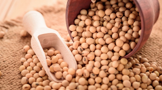 Kanser riskini azaltmak için bunları tüketin