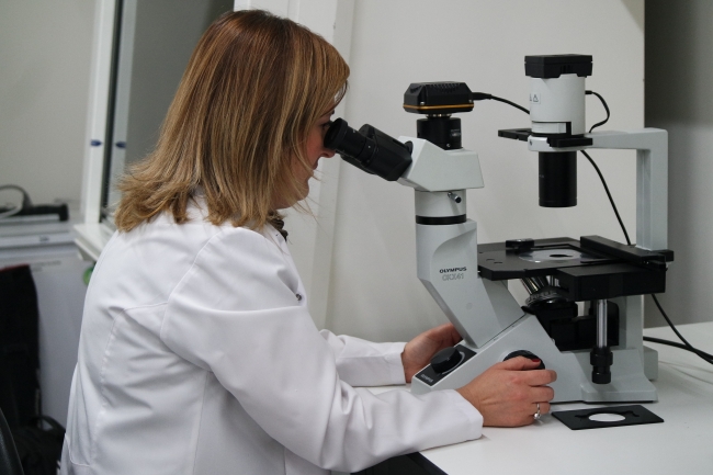 Arı sütünün raf ömrünü uzattılar